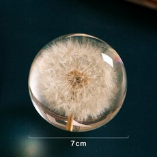 민들레 단델리온 크리스탈 인테리어 소품 선물 북유럽 홈 카페 문진 유리 볼 구슬, 7CM민들레 수지볼 일반 포장
