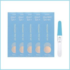 센스데이얼리체크