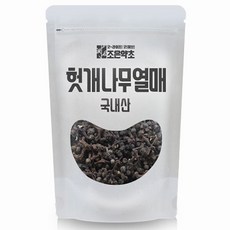 [조은약초] 헛개나무 열매(지구병) 200g, 1개