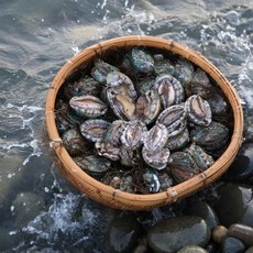 청산도전복