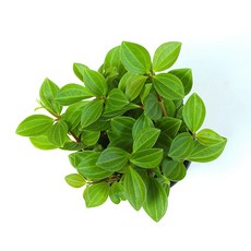 0e1c586ebb5c221b23d6ca1e47bf207ac76c868261f2022b9745e79916e1.jpg