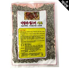 운동선수해바라기씨