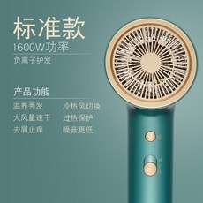 지고 드라이기 가정용 음이온 조용한 헤어 드라이어, [민트] 베이직
