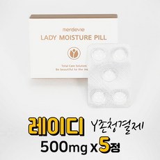 메르드비 레이디 모이스쳐필 Y존 여성청결제 5정 먹는 여성청결재 질냄새제거 질청결재 질보습제 질건조 보습제 질세정제 질분비물 여성분비물, 5개