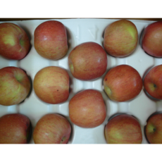 보조개사과 4.5키로 1통 24~26과 흠있는 실속형 못난이사과