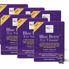 뉴 노르딕 블루 베리 아이 비타민 루테인 아연 NEW NORDIC Blue Berry Eye Vitamin, 6개, 60정