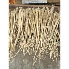 싱싱한 국산 안동도라지 나물도라지1kg 약도라지 1kg, 나물도라지 소 1kg, 1개