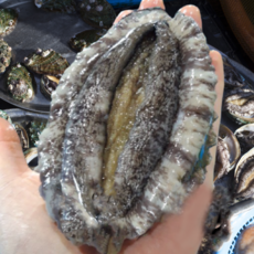 추천4 이순신수산