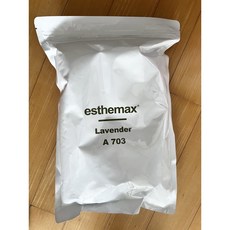 에스테맥스모델링팩