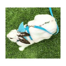 토끼목줄 산책용 스트랩 소형 하네스 하이페티 토끼 사랑스러운 천사 날개 목줄 개 고양이 애완 조끼 일치 세트블루, Blue, 1개