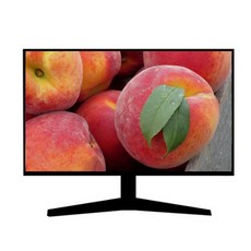 삼성전자 엘지 HP DEL LED 24인치16:9 중고모니터 사무용, 22인치