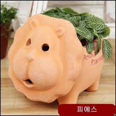 애니멀 큐티 화분 공화분 이쁜화분 이쁜화병 포트 조화화분 아크릴화분 도자기화분 nxmv