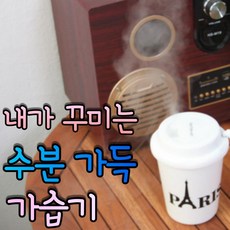 diy선인장가습기