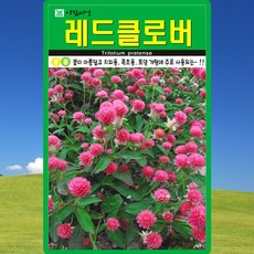 아람종묘 레드클로버 씨앗 20g 클로버 크로바 잔디씨 종자 1개 상품 이미지
