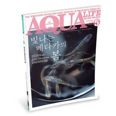 아쿠아라이프 2020년 5월호 [빛나는 메다카의 봄], 단품