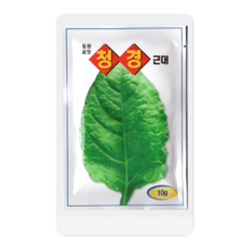 긴긴밤 TOP01