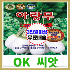 [OK씨앗] [아랑무] 알타리무씨앗(오케이씨앗), 10000립