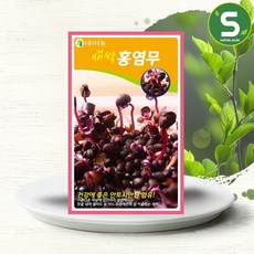 솔림텃밭몰 새싹홍염무씨앗 12g 새싹홍염무 새싹채소씨앗, 1개