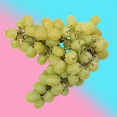af7b2d43077bdf44dedf8c3d406ab67f22df627e7ab5934b4e8dc4c812ae.jpg