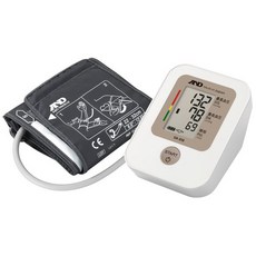 보령제약체온계