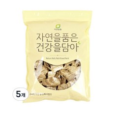 자연닮음 프리미엄 자연건조 국내산 갈근 칡 300g 5개, ONE COLOR, 300G 5개