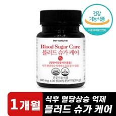 블러드슈가케어