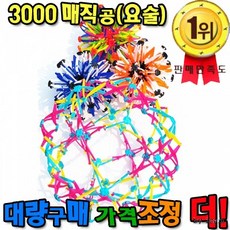 요술공
