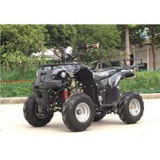 4륜 ATV 오프로드 오토바이 4륜구동 범용 변속기 산악, 리틀 불 125cc 패키지 1