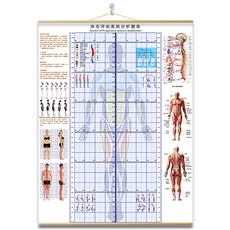 체형측정스크린