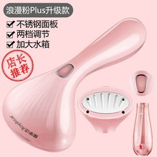 투웨이미니스팀다리미