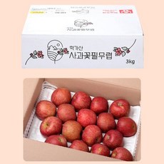 경북 안동 새콤 달콤 2021년 햇부사 가정용 3kg/5kg/10kg[학가산 사과꽃필무렵], 가정용 꼬마 5kg 29-33과내외