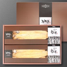 건해몽