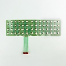 캐논cs100