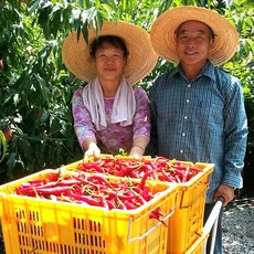 22년산햇고추가루