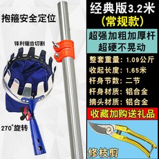 감나무장대