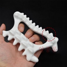 메디테라피속살괄사