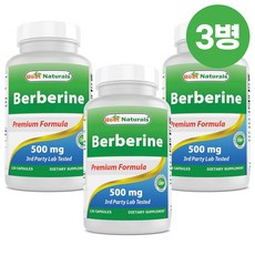 베스트 네추럴스 베르베린 500mg 120캡슐 x 3병 Best Naturals Berberine, 단품, 3개