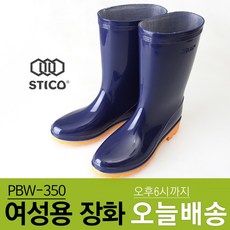 스티코데이