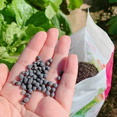 야학노인점복전서:기초편 TOP01