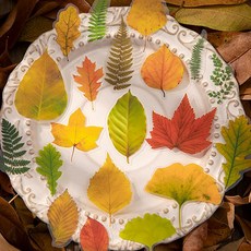 (주)아트인 사계절 나뭇잎 스티커(100매), 2.물결잎