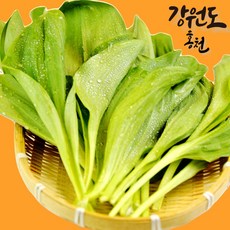명이나물 TOP01