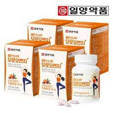 추천6오렌지효능