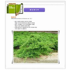 ad03601f992133f662ad5bec5aeee6177850409ea6b11a730db9cec769bd.jpg