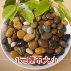 화분자갈 컬러스톤 건재상 작은 천연 거친 화분 정원 장식 원예 화려한 원예용 조경용돌 자갈돌, 화려한 2-3cm 1 위안 동전