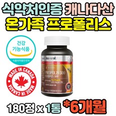 킹프로폴리스