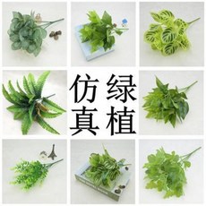 b7dcb0574570fcef85de738274f794c4712a37777b4bdb537a813ce3ce4f.jpeg