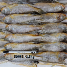 조기50마리