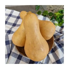 제주특산 맛있는 땅콩호박 3kg, ONE COLOR, ONE SIZE