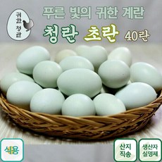 (무료배송) 귀한 청란 건강한 유정란 푸른색 황제계란