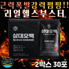 엘피스부스터